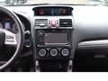 Subaru Forester Platinum Navigation, Leder, Standheizung Білий - thumbnail 15