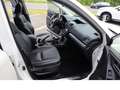 Subaru Forester Platinum Navigation, Leder, Standheizung White - thumbnail 13