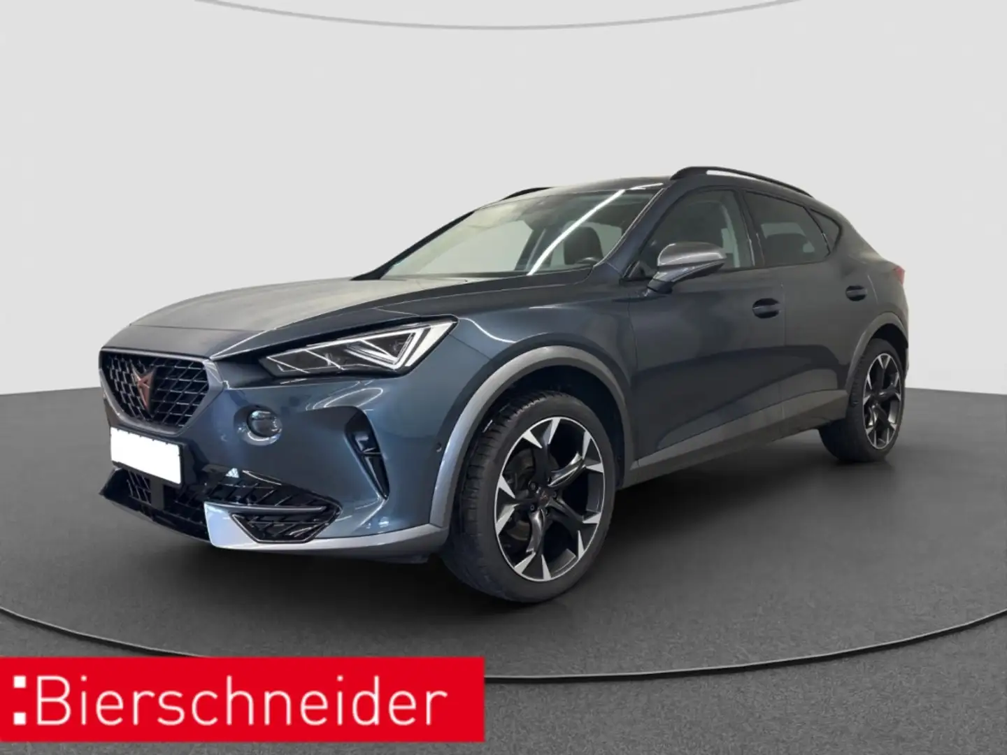 CUPRA Formentor 1.5 TSI DSG AB 249EUR AHK MATRIX NAVI Grau - 1