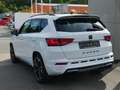 CUPRA Ateca 2.0 TSI 4Drive 7-Gang DSG, AHK Klima Navi Weiß - thumbnail 5