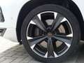 CUPRA Ateca 2.0 TSI 4Drive 7-Gang DSG, AHK Klima Navi Weiß - thumbnail 3