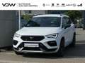 CUPRA Ateca 2.0 TSI 4Drive 7-Gang DSG, AHK Klima Navi Weiß - thumbnail 1