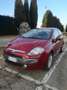 Fiat Punto Evo 3p 1.4 Active Gpl 77cv Rosso - thumbnail 1