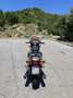Moto Guzzi 850 T Moto Guzzi 850 T5 - thumbnail 5