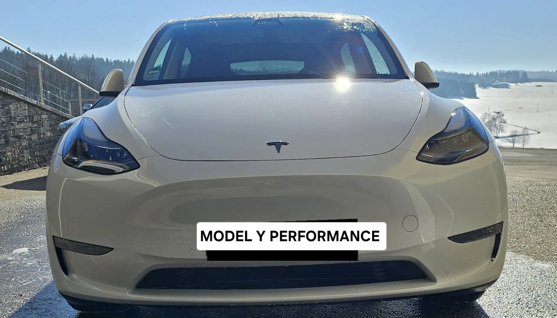 Tesla Model Y AWD 79kWh Performance - 1