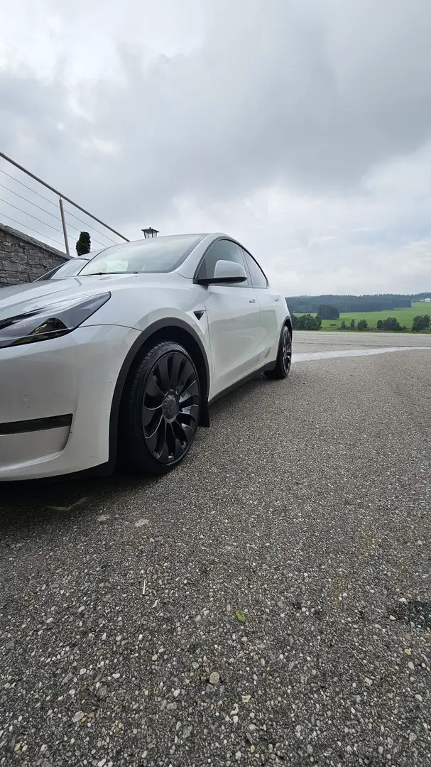 Tesla Model Y AWD 79kWh Performance - 2