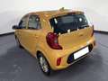 Kia Picanto Picanto 1.0 GPL 5 porte Gelb - thumbnail 4