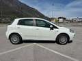 Fiat Punto Evo 5p 1.3 mjt Dynamic s&s 75cv dpf Bianco - thumbnail 4