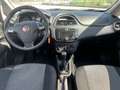 Fiat Punto Evo 5p 1.3 mjt Dynamic s&s 75cv dpf Bianco - thumbnail 9