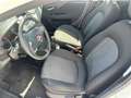 Fiat Punto Evo 5p 1.3 mjt Dynamic s&s 75cv dpf Bianco - thumbnail 10