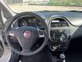 Fiat Punto Evo 5p 1.3 mjt Dynamic s&s 75cv dpf Bianco - thumbnail 12