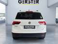Volkswagen Tiguan 2.0 TDI BMT Trendline KlimaA LM PDC SpurH Weiß - thumbnail 5