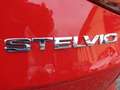 Alfa Romeo Stelvio 2.2D 16V B-Tech Q4*SPORTPAKET*VOLLAUSST* Red - thumbnail 21