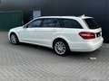 Mercedes-Benz E 250 E -Klasse T-Modell E 250 CDI 4-Matic Blanc - thumbnail 5