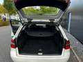 Mercedes-Benz E 250 E -Klasse T-Modell E 250 CDI 4-Matic Blanc - thumbnail 21