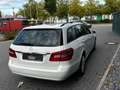 Mercedes-Benz E 250 E -Klasse T-Modell E 250 CDI 4-Matic Blanc - thumbnail 7