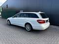 Mercedes-Benz E 250 E -Klasse T-Modell E 250 CDI 4-Matic Blanc - thumbnail 4