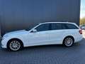 Mercedes-Benz E 250 E -Klasse T-Modell E 250 CDI 4-Matic Blanc - thumbnail 3