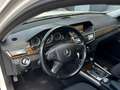 Mercedes-Benz E 250 E -Klasse T-Modell E 250 CDI 4-Matic Blanc - thumbnail 14