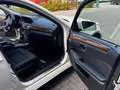 Mercedes-Benz E 250 E -Klasse T-Modell E 250 CDI 4-Matic Blanc - thumbnail 26