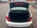 Mercedes-Benz C 250 C -Klasse Lim. C 250 CDI BlueEfficiency Blanc - thumbnail 12