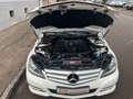 Mercedes-Benz C 250 C -Klasse Lim. C 250 CDI BlueEfficiency Beyaz - thumbnail 10