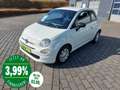 Fiat 500 1.0Mild-Hybrid Cult+TEMPO+DAB+KLIMA Blanco - thumbnail 1