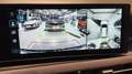 Hyundai KONA HEV (SX2) Comfort Line 1.6 GDI 2WD HEV k7hc1-P20 Grau - thumbnail 10