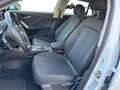 Audi Q2 1.5 TFSI 35 ADVANCED*KLIMAAUTOMATIK*KAMERA*NAVI*LM Wit - thumbnail 8