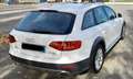 Audi A4 allroad A4 IV 2007 Allroad Quattro 3.0 V6 tdi s-tronic Blanco - thumbnail 5