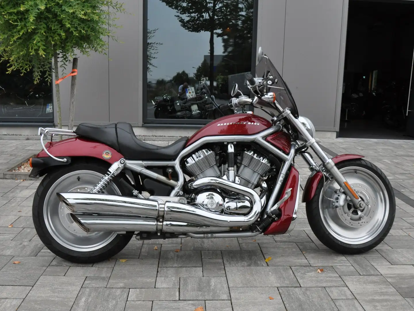 Harley-Davidson V-Rod VRSCA V-Rod im guten gebrauchten Zustand - 1