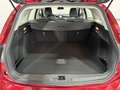 Ford Focus Traveller 1,0 EcoBoost Trend Rot - thumbnail 12