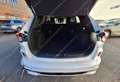 Ford Kuga 2.0ecoblue Vignale awd 190cv Tetto Apribile-Unipro Blanco - thumbnail 8