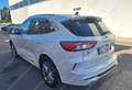 Ford Kuga 2.0ecoblue Vignale awd 190cv Tetto Apribile-Unipro Blanco - thumbnail 4
