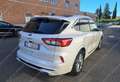 Ford Kuga 2.0ecoblue Vignale awd 190cv Tetto Apribile-Unipro Blanco - thumbnail 5