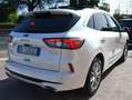 Ford Kuga 2.0ecoblue Vignale awd 190cv Tetto-Pelle-Full Opt Weiß - thumbnail 6