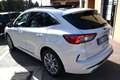 Ford Kuga 2.0ecoblue Vignale awd 190cv Tetto-Pelle-Full Opt Weiß - thumbnail 8