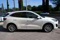 Ford Kuga 2.0ecoblue Vignale awd 190cv Tetto-Pelle-Full Opt Weiß - thumbnail 4