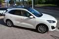 Ford Kuga 2.0ecoblue Vignale awd 190cv Tetto-Pelle-Full Opt Weiß - thumbnail 5