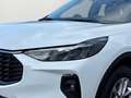 Ford Kuga Titanium 2.5 PHEV *ALLWETTER*SITZHEIZUNG v&h*360° Blanc - thumbnail 5