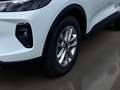 Ford Kuga Titanium 2.5 PHEV *ALLWETTER*SITZHEIZUNG v&h*360° Blanc - thumbnail 6