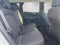 Ford Kuga Titanium 2.5 PHEV *ALLWETTER*SITZHEIZUNG v&h*360° Blanc - thumbnail 13