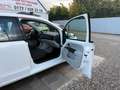 SEAT Mii Style Sportsitze Sportpaket Sport Lenkrad Blanc - thumbnail 11