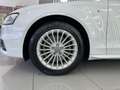 Audi A4 2.0TDI Sport edition 110kW Blanco - thumbnail 23