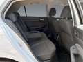 Volkswagen Golf VIII 1.5 TSI Life Rückfahrkam. Navi Head-up Weiß - thumbnail 13
