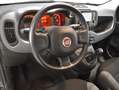 Fiat Panda 1.0 Hybrid 70CV City Life Blanco - thumbnail 11