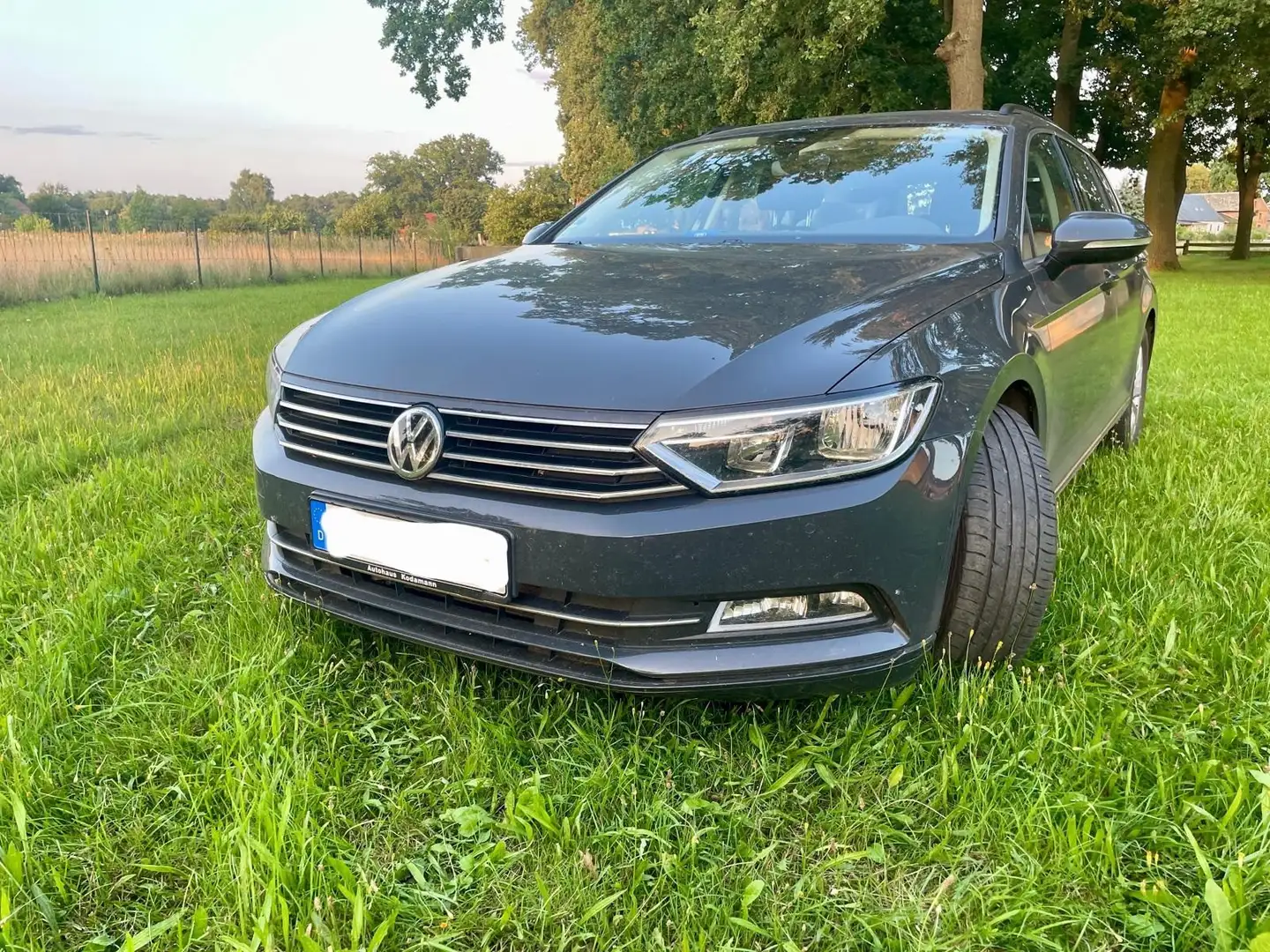 Volkswagen Passat Variant Passat Variant 1.5 TSI DSG ACC Panoramaschiebedach Grau - 1