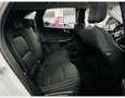 Ford Kuga 2.5 DURATEC 190CH FHEV E85 TITANIUM BVA***TVA RECUPERABLE*** Bianco - thumbnail 6