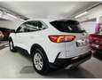 Ford Kuga 2.5 DURATEC 190CH FHEV E85 TITANIUM BVA***TVA RECUPERABLE*** Blanc - thumbnail 4