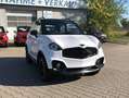 Chatenet Sonstige CH46 Barooder SUV ab 15 Jahren Mopedauto Weiß - thumbnail 6